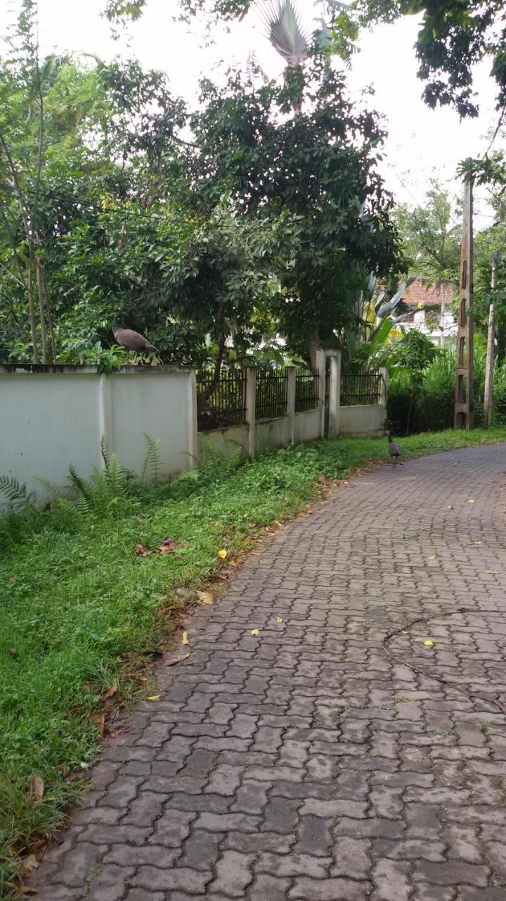 Vero Homestay Galle Esterno foto